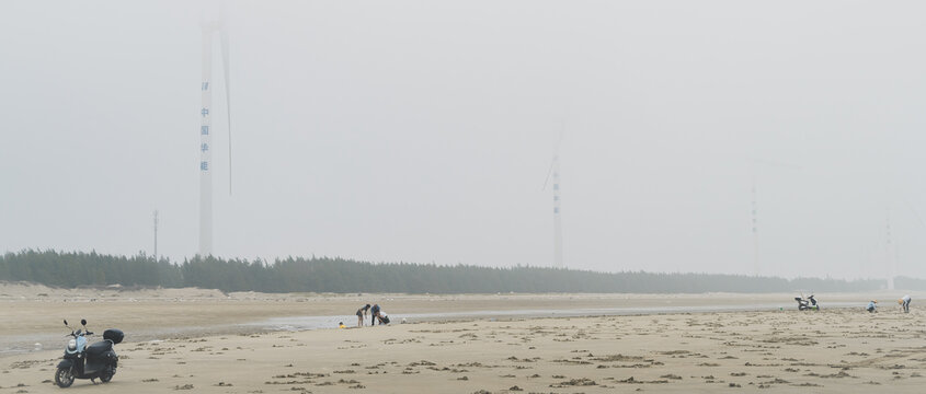 湛江南三島最新新聞報道，湛江南三島最新新聞動態(tài)速遞