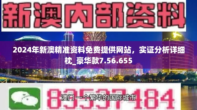 2024新澳正版免費資料的特點,科技術(shù)語評估說明_特別版94.492