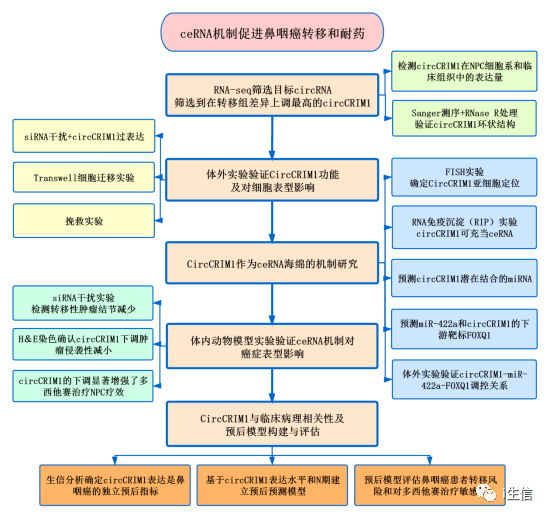 新奧精準(zhǔn)資料免費提供綜合版,完整機制評估_yShop44.684