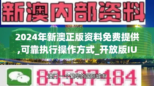 關(guān)于新澳2024正版免費資料的探討——警惕違法犯罪風(fēng)險，警惕新澳2024正版免費資料中的違法犯罪風(fēng)險探討