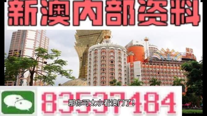 澳門內(nèi)部資料精準(zhǔn)大全2023——警惕違法犯罪風(fēng)險(xiǎn)，澳門內(nèi)部資料精準(zhǔn)大全背后的風(fēng)險(xiǎn)，警惕違法犯罪威脅 2023年警惕篇