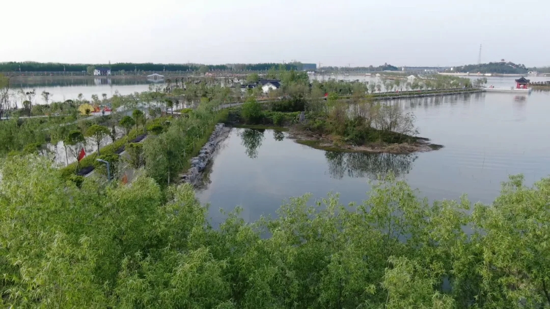 光山濕地公園最新消息，光山濕地公園最新動態(tài)報道