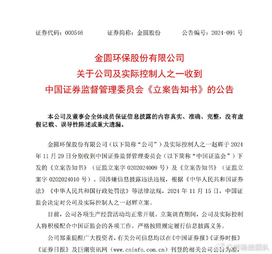 金證股份定增最新消息全面解讀，金證股份定增最新消息全面解析