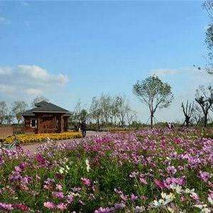 官港森林公園最新消息，官港森林公園最新動態(tài)報道