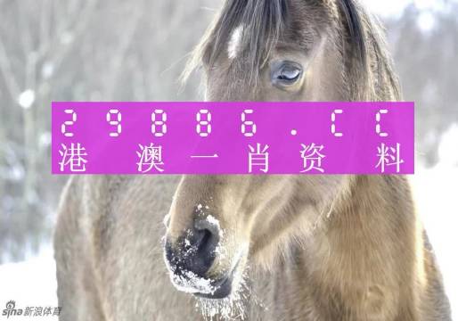 澳門精準(zhǔn)一肖一碼，揭秘背后的犯罪問題，澳門精準(zhǔn)一肖一碼，犯罪問題揭秘