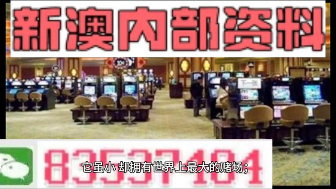 澳門正版精準免費大全——揭示違法犯罪問題，澳門正版精準免費大全揭秘違法犯罪問題