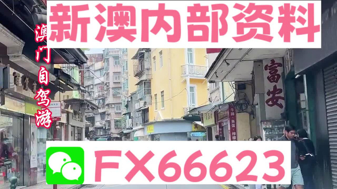 新奧精準(zhǔn)免費(fèi)資料提供，探索與啟示，新奧精準(zhǔn)免費(fèi)資料探索，啟示與分享