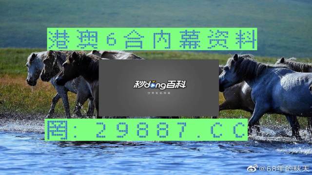 澳門馬買馬網(wǎng)站com,動(dòng)態(tài)詞匯解析_粉絲版17.330