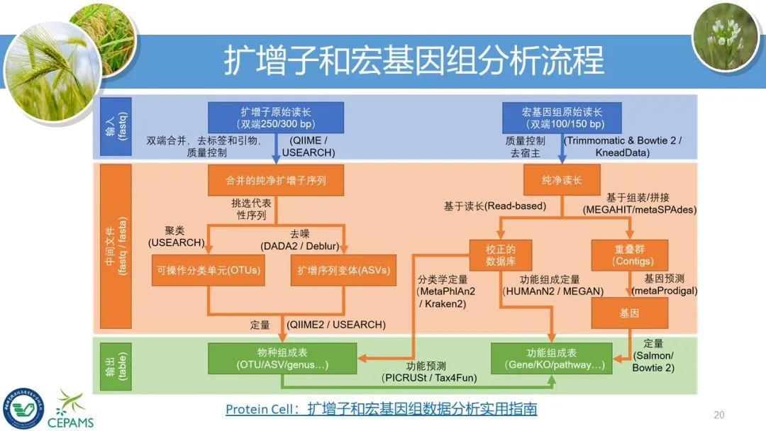 新奧長期免費公開資料,實地策略評估數據_Premium29.79