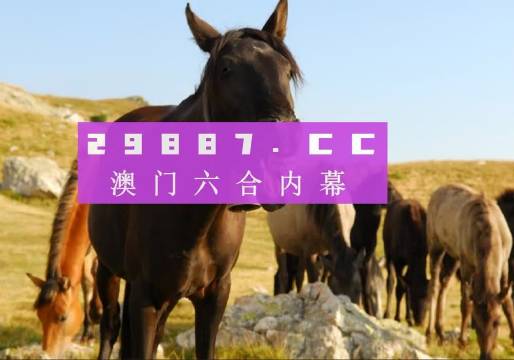 澳門管家婆資料正版大全——探索2023年的全新視界，澳門正版管家婆資料大全，2023年全新視界探索