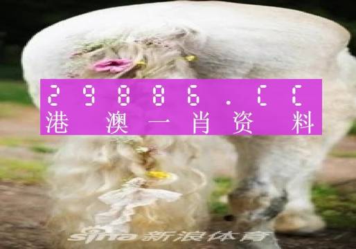 今晚必中一肖一碼四不像,數(shù)據(jù)資料解釋落實(shí)_標(biāo)準(zhǔn)版90.65.32