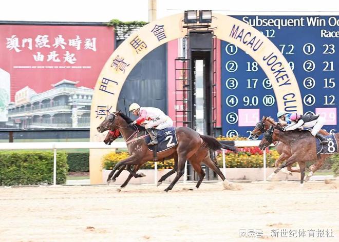 澳門賽馬會，歷史、文化與競技的交融，澳門賽馬會，歷史、文化與競技的璀璨交融