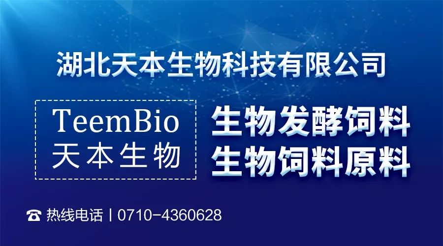 掌握最新情況，與時俱進的關鍵所在，掌握最新情況，與時俱進的關鍵所在