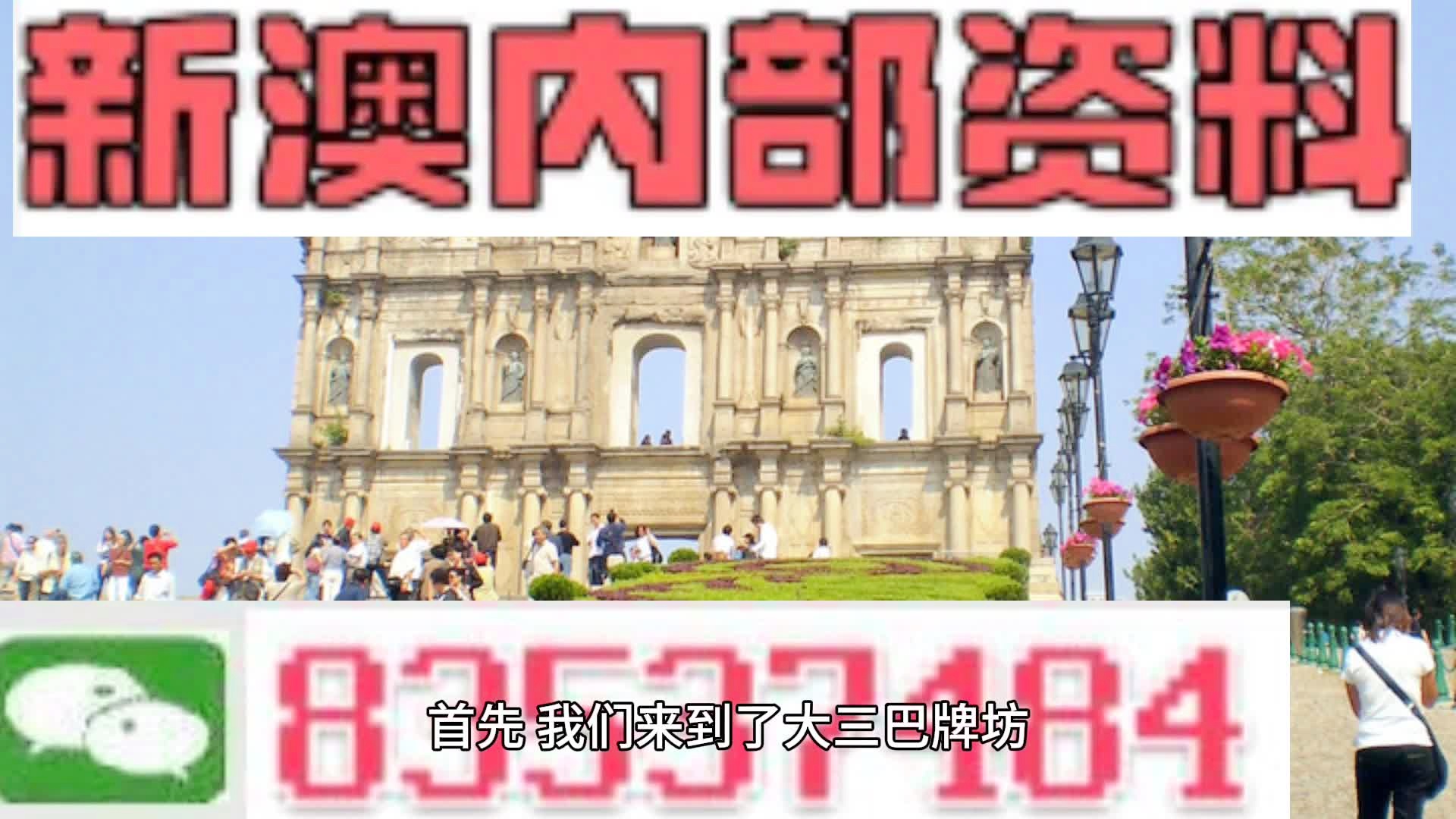 關于新澳新澳門正版資料的探討與警示——警惕違法犯罪問題，關于新澳新澳門正版資料的探討，警惕違法犯罪風險！