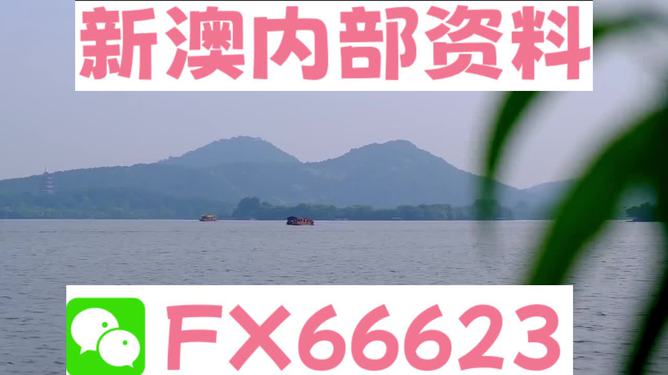 關(guān)于新澳2024正版資料的免費(fèi)公開及相關(guān)問(wèn)題探討，新澳2024正版資料免費(fèi)公開及相關(guān)問(wèn)題深度探討