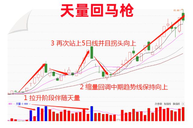 揭秘未來之星，低價股中有望翻十倍的潛力股展望（XXXX年），揭秘未來之星，低價股中的十倍潛力股展望（XXXX年展望）