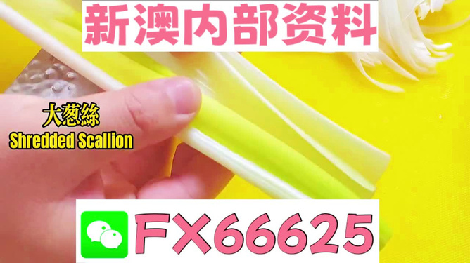 澳門正版資料免費大全新聞，揭示違法犯罪問題的重要性與應(yīng)對之道，澳門正版資料免費大全新聞，違法犯罪問題的應(yīng)對之道與重要性揭秘