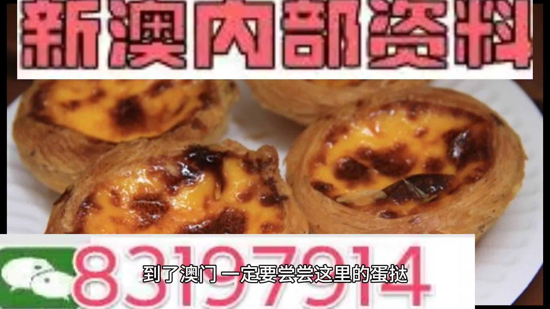 探索未來，2024年新奧梅特免費資料大全，探索未來，2024年新奧梅特免費資料大全全解析