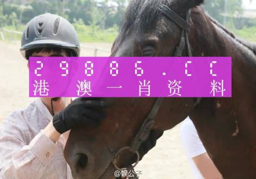 澳門(mén)一肖一碼必中一肖，揭秘背后的真相與風(fēng)險(xiǎn)警示，澳門(mén)一肖一碼必中真相揭秘與風(fēng)險(xiǎn)警示