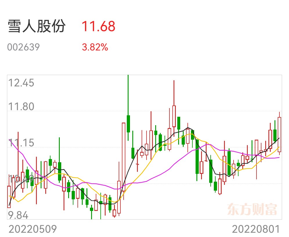 雪人股份可能面臨收購，機遇與挑戰(zhàn)并存，雪人股份面臨收購，機遇與挑戰(zhàn)并存