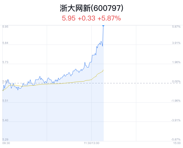 浙大網(wǎng)新股價上漲2.99%，解析背后的因素與前景展望，浙大網(wǎng)新股價上漲2.99%，因素解析與未來前景展望