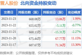 雪人股份目標價2024年，深度分析與展望，雪人股份2024年目標價深度分析與展望