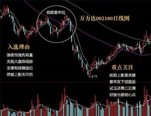 天河起重股票股吧，深度解析與投資者策略探討，天河起重股票深度解析及投資者策略探討股吧