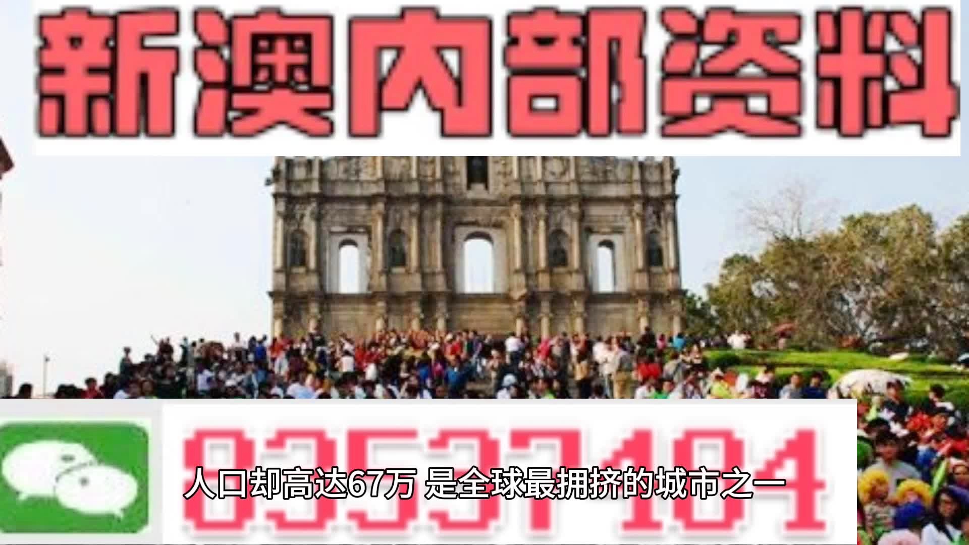 新澳門免費全年資料查詢，探索與解析，澳門免費資料查詢的風險與解析，犯罪行為的警示探究