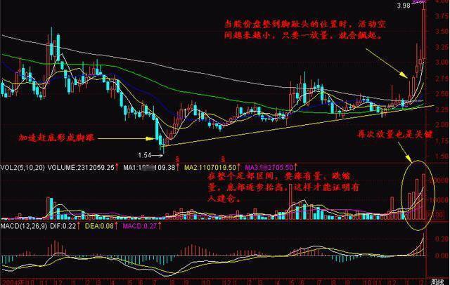 揭秘未來(lái)潛力股，2025年有望翻十倍的股票，揭秘未來(lái)十倍潛力股，展望2025年的翻倍機(jī)會(huì)