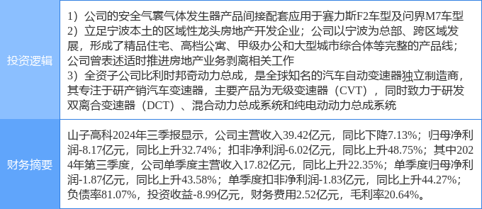 山子高科未來潛力，探索與前瞻，山子高科未來潛力展望與前瞻探索