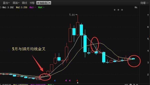 揭秘2024年有望翻十倍的低價股，投資新機遇與挑戰(zhàn)，揭秘未來潛力低價股，投資新機遇與挑戰(zhàn)，2024年有望翻十倍增長潛力股解析