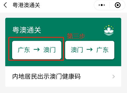 澳門碼資料與違法犯罪問題，澳門碼資料與違法犯罪問題探究