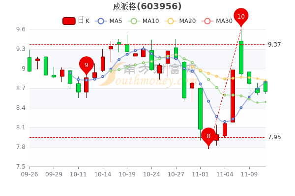 威派格9.88%最新消息全面解析，威派格最新動態(tài)解析，9.88%消息一覽無余