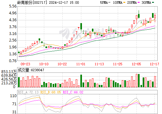 嶺南股份的麻煩事，挑戰(zhàn)與機(jī)遇并存，嶺南股份面臨挑戰(zhàn)與機(jī)遇并存的發(fā)展局面