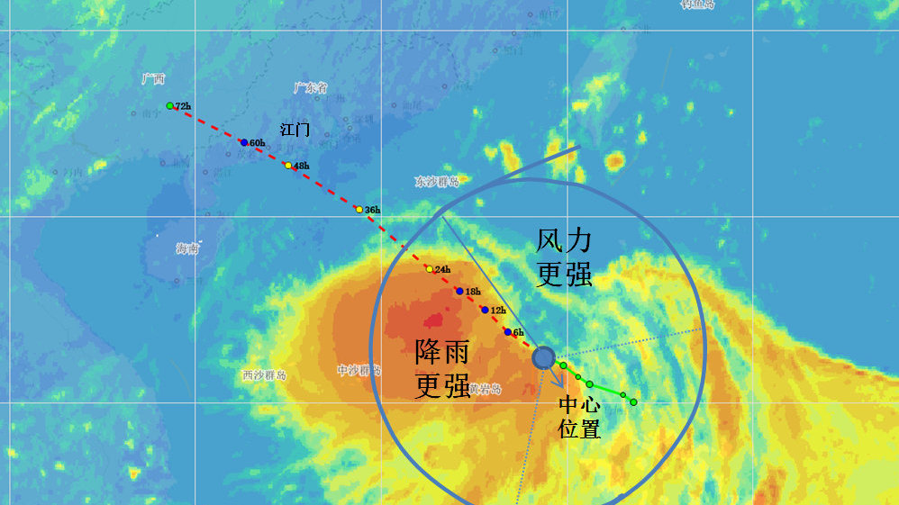 臺風鸚鵡最新動態(tài)，影響與應對措施，臺風鸚鵡最新動態(tài)，影響及應對策略