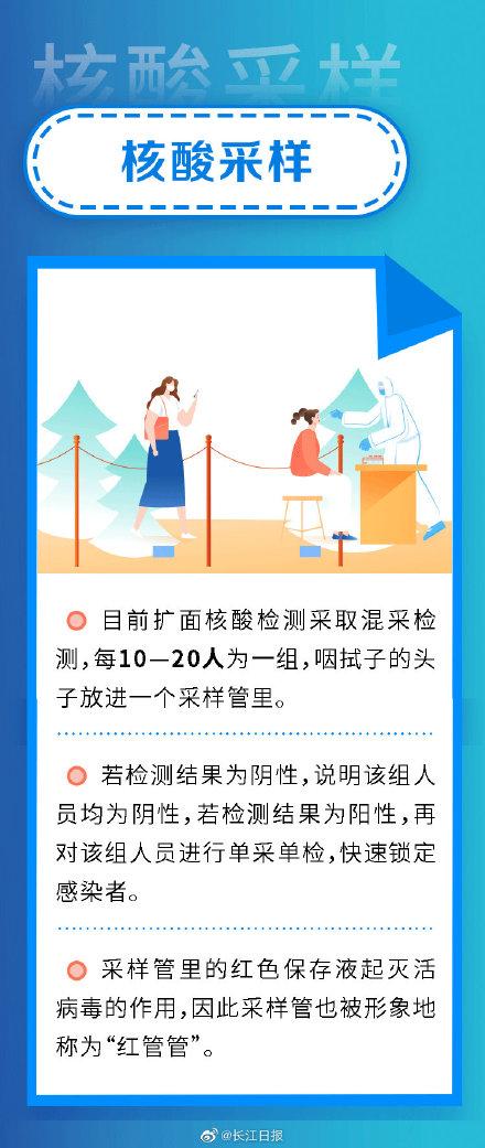 核酸檢測(cè)最新消息，技術(shù)進(jìn)展與應(yīng)用前景展望，核酸檢測(cè)技術(shù)最新進(jìn)展與應(yīng)用前景展望