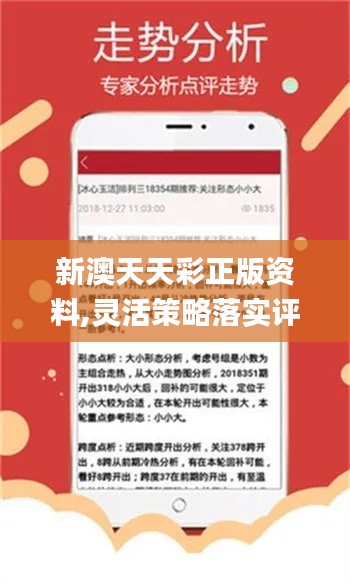 新澳天天彩精準資料,精細化執(zhí)行設計_WearOS86.917