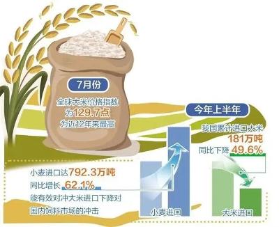 泰國(guó)大米價(jià)格下跌1-3%，市場(chǎng)趨勢(shì)、影響因素及未來(lái)展望，泰國(guó)大米價(jià)格下滑趨勢(shì)分析，市場(chǎng)趨勢(shì)、影響因素及未來(lái)展望