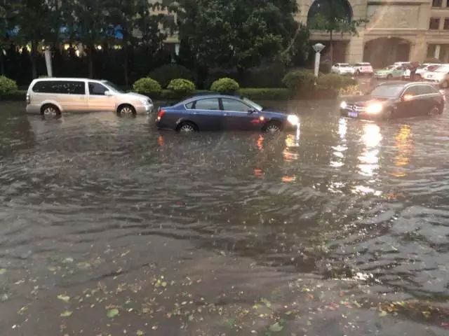 青島大暴雨最新情況報(bào)告，青島大暴雨最新情況報(bào)告，暴雨影響及應(yīng)對措施分析