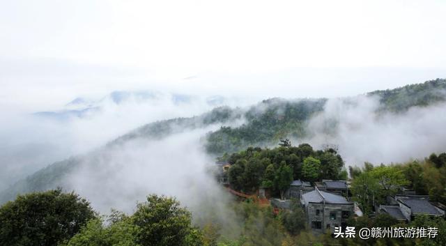 最新云想山，自然之美與科技之力的完美結(jié)合，云想山，自然與科技完美交融之美