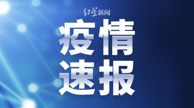 湖南最新肺炎確診情況分析，湖南最新肺炎疫情確診情況分析