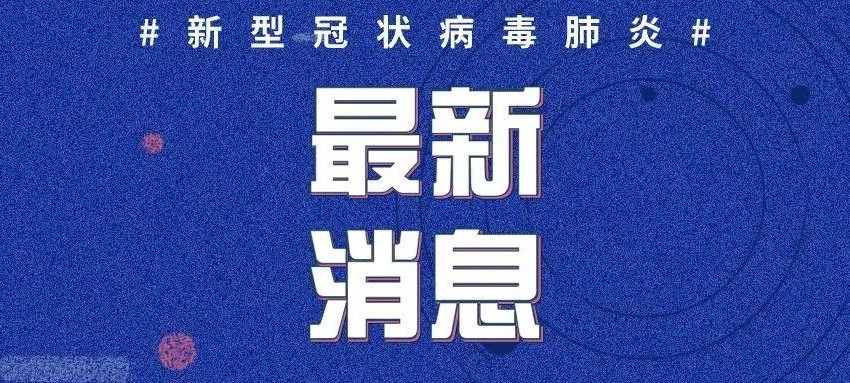 肺炎疫情最新消息，全球防控形勢與應(yīng)對策略，全球肺炎疫情最新動態(tài)，防控形勢與應(yīng)對策略更新報告