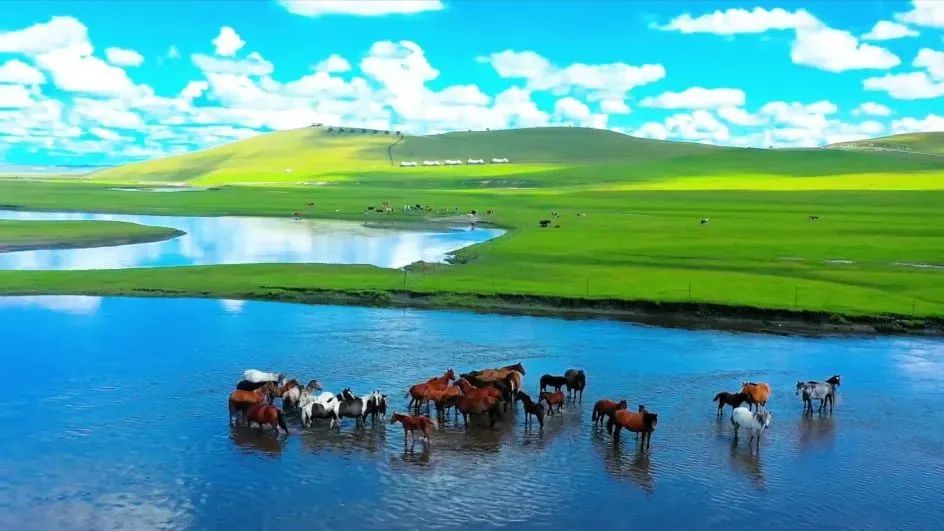 內蒙古旅游，草原之美與多彩文化的獨特魅力，內蒙古之旅，草原之美與多彩文化的獨特魅力