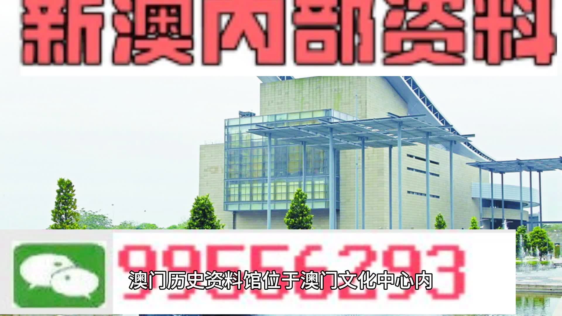 關于澳門資料免費大全的探討與警示——遠離非法賭博活動的重要性，澳門資料免費大全探討，警惕非法賭博，遠離風險！