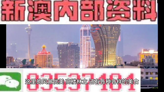 新澳精準(zhǔn)資料免費提供，探索第510期的奧秘與價值，新澳第510期精準(zhǔn)資料探索，奧秘與價值揭秘