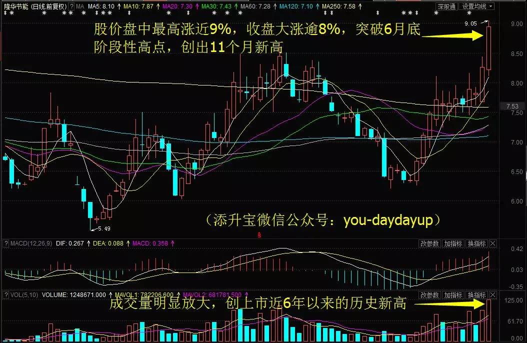 贏時勝漲停背后的原因深度解析，贏時勝漲停背后的原因深度探究