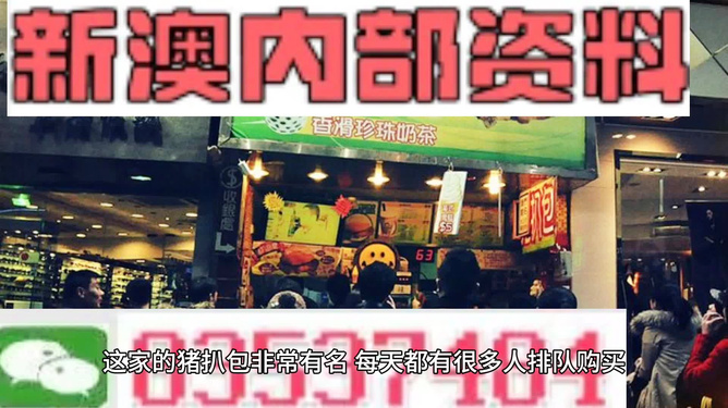 新奧天天精準(zhǔn)資料大全，探索與洞察，新奧天天精準(zhǔn)資料大全，探索與洞察的洞察