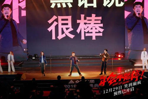 年會盛宴，星光璀璨，演員表全名單揭秘，年會盛宴，星光璀璨——演員全名單揭秘之夜