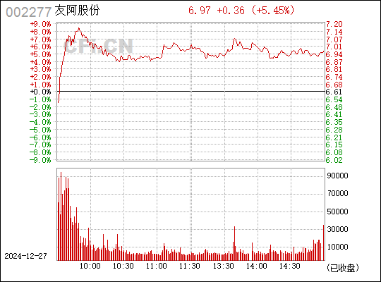 友阿股份，商業(yè)領(lǐng)域的卓越典范，友阿股份，商業(yè)領(lǐng)域的璀璨明珠