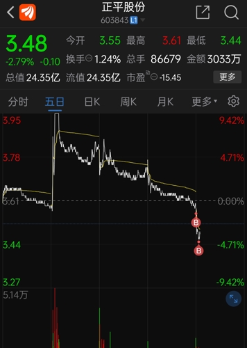 正平股份收盤下跌0.97%，市場分析與未來展望，正平股份收盤微跌，市場分析與未來展望展望。